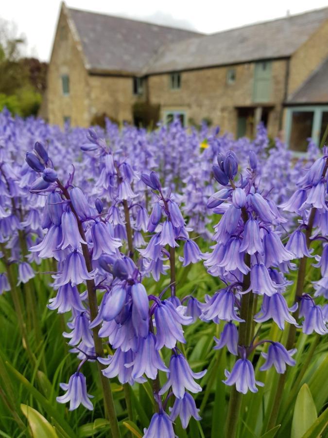 Woodcock Farm Apartman Bristol Kültér fotó